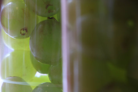 Placed in a plastic cup of fruit salad.の写真素材