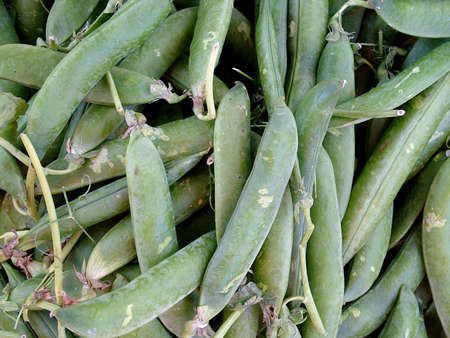 Fresh Peasの写真素材