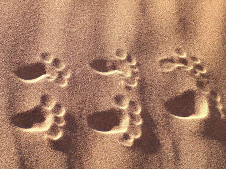 Footprints in the desert in Namibiaの写真素材