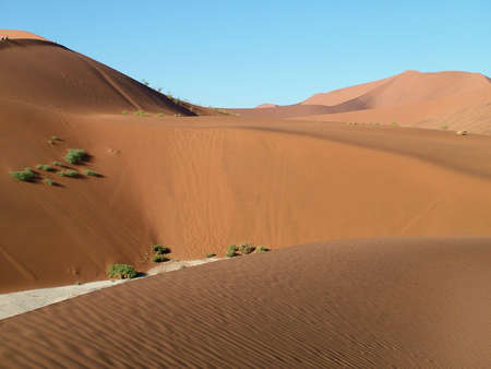 Dunes in the Desertの写真素材
