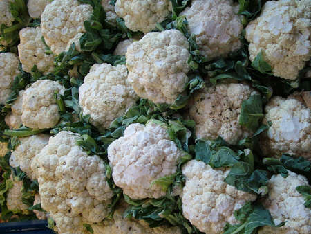 Cauliflowerの写真素材