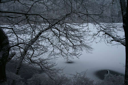 Frozen Lake near Berlinの写真素材