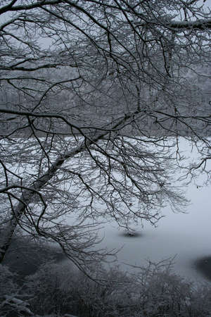 Frozen Lake の写真素材