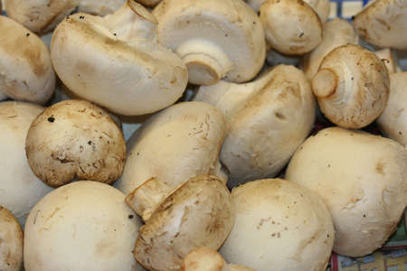 Fresh Mushrooms in a marketstandの写真素材