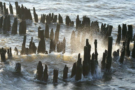 Along the coast の写真素材