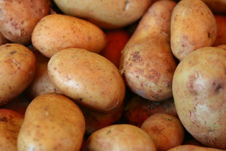 Potatoes in a market の写真素材