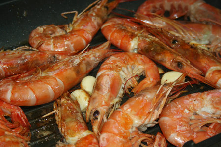Shrimps on the grillの写真素材