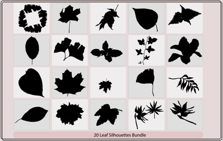 collection of silhouettes of leaves on a white background, vector illustrationのイラスト素材