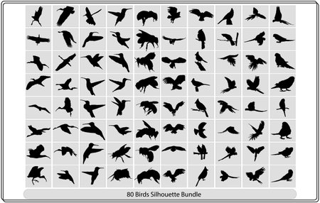 collection of black silhouettes of birds on a white background, vector illustrationのイラスト素材