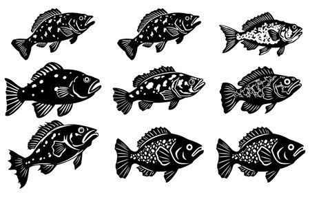 Set of black silhouettes of fish. Vector illustration isolated on white background.のイラスト素材