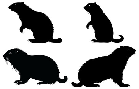 Groundhog Walking silhouette design, groundhog Walking black vector design ,のイラスト素材
