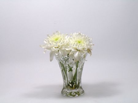 flower pot insulated home beautiful green smelly   の写真素材