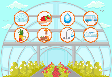 Harvesting in Greenhouse Concept. Natural Resource. Growing Plants. Watering and Irrigation System. Crop Delivery. Fruit Picking Work. Farm Business Concept. Vector Flat Illustration.のイラスト素材