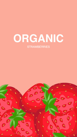 Strawberries with Leaves and Seeds Vector Flyer. Organic, Eco Product. Raw, Ripe Berry Closeup. Glossy, Juicy Fruit Illustration with Text. Healthy Food on Pink Background. Farmers Marketのイラスト素材