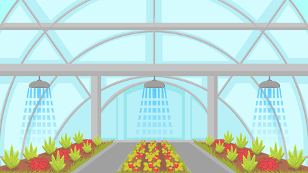 Agricultural Irrigation System Vector Illustration. Automatic Sprinkler Watering Greenhouse Plants. Modern Horticulture Cultivation, Hydroponics Technology. Berry and Vegetable Plantation in Hothouseのイラスト素材