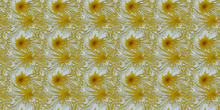 Seamless pattern of yellow daisies on white background.