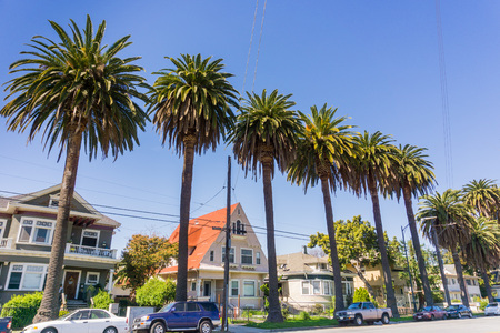 Old houses and palm trees on a street in downtown San Jose, Californiaのeditorial素材