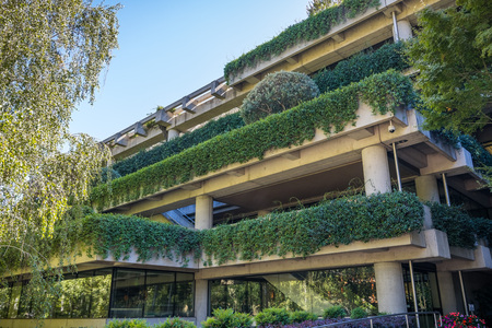 Building covered in green vines and surrounded by trees close to downtown Sacramento, Californiaの写真素材
