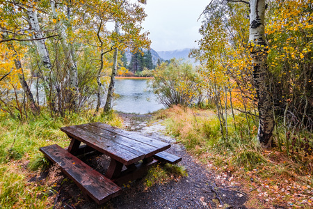 Picnic table close to the shoreline of Crystal Lake in the June Lake Loop area on a rainy autumn day; colorful aspen trees and the lake shore in the background; Eastern Sierra mountains, Californiaの写真素材