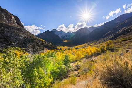 Fall colors covering McGee Creek valley in Eastern Sierra mountains, Californiaの写真素材