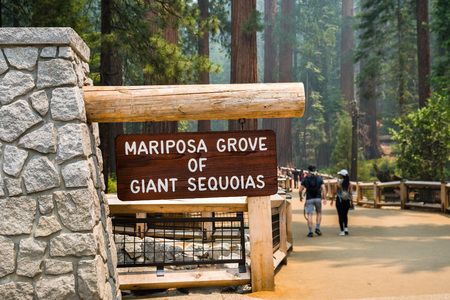 Entrance to the newly reopened Mariposa Grove of Giant Sequoias, Yosemite National Park, Californiaの写真素材