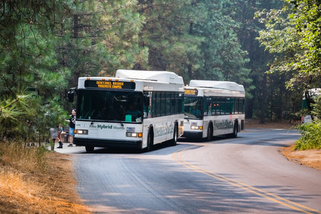 July 17, 2018 Yosemite Valley / CA / USA - Bus shuttling tourists between various interest point...