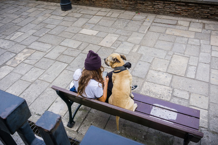 September 22, 2017 Bucharest / Romania - Unidentified girl sitting on a bench with her dog, looking at the phone in downtown Bucharestのeditorial素材