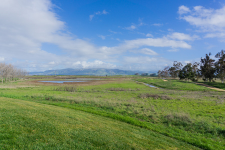 Meadow in Sunnyvale Baylands Park; view towards Mission Peak, south San Francisco bay, Californiaの写真素材