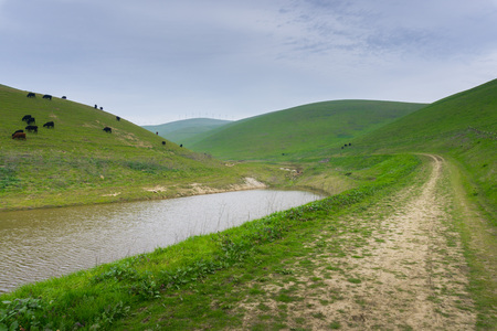 Trail in Brushy Peak Regional Park, East San Francisco bay, Livermore, Californiaの写真素材