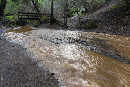 Muddy creek after storm and heavy rain, Rancho San Antonio county park, south San Francisco bay, Californiaの写真素材