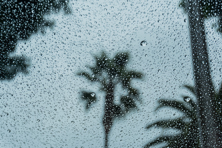 Drops of rain on the window; blurred palm trees in the background; shallow depth of fieldの写真素材