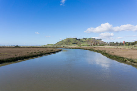 View towards Coyote Hills Regional Park, Don Edwards wildlife refuge, Fremont, San Francisco bay...