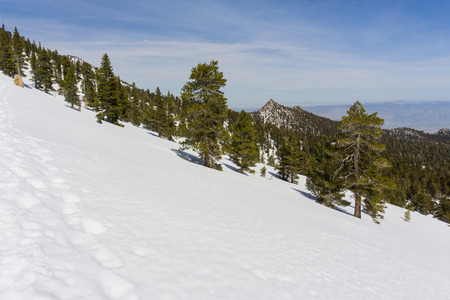 Snowy landscape on the trail to Mount San Jacinto peak, Californiaの写真素材