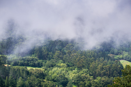 Retreating fog, San Francisco bay area, Californiaの写真素材