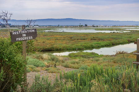 Restoration sign in the wetlands in Alviso Marsh, Don Edwards wildlife refuge, south San Francisco bay, Californiaの写真素材