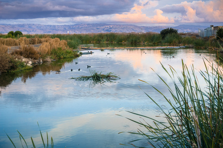 Sunset landscape of the marshes of south San Francisco bay, Sunnyvale, Californiaの写真素材