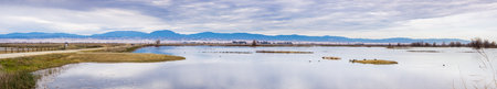 Panoramic view of the ponds of Sacramento National Wildlife Refuge, California