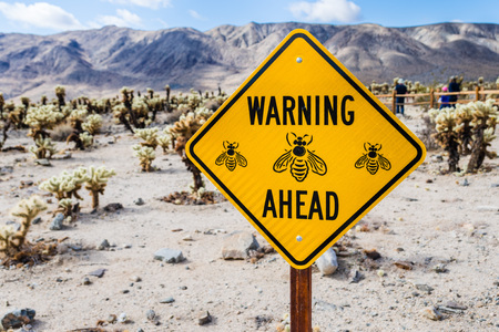"Warning bees ahead" sign posted in Joshua Tree National Park, Californiaの写真素材