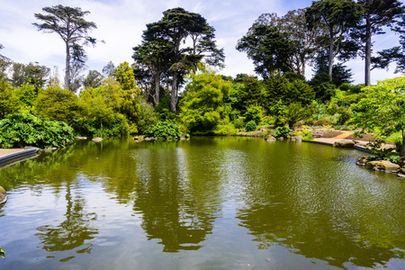 Landscape in Golden Gate Park; trees and shrubs reflected in one of the parks' ponds; San Francisco, Californiaの写真素材