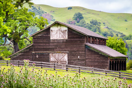 Old farm building on a sunny day, Sunol Regional Wilderness, San Francisco bay area, California