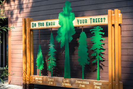 October 15, 2017 Arnold/CA/USA - Identification of evergreen tree types that can be found in Calaveras Big Trees State Park exhibit found at the entrance to the visitor centerのeditorial素材