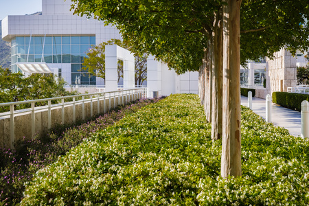 June 8, 2018 Los Angeles / CA / USA - Decorative Myrtle trees and Star Jasmine flowers at Getty Centerのeditorial素材