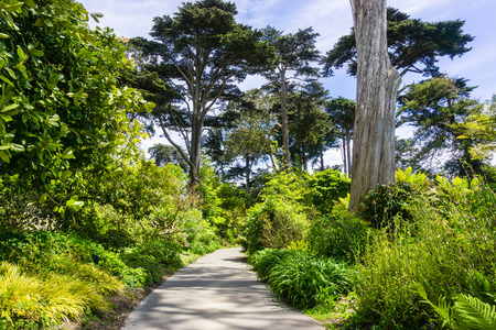 May 6, 2018 San Francisco / CA / USA - Walking path in the Botanical Garden located in Golden Gate Parkのeditorial素材