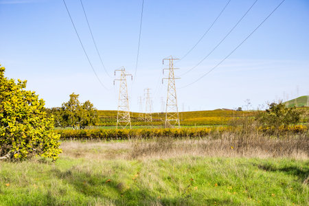 Electricity towers in the afternoon light, California