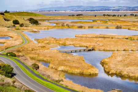 Marsh views, Coyote Hills Regional Park, east San Francisco bay, California