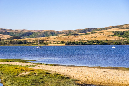 Tomales Bay seen from the Inverness shoreline, Californiaの写真素材