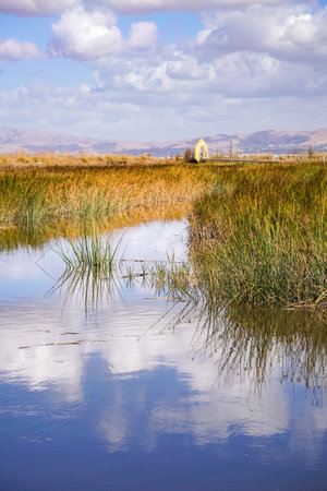 Marsh landscape, south San Francisco bay, Alviso Marina, California