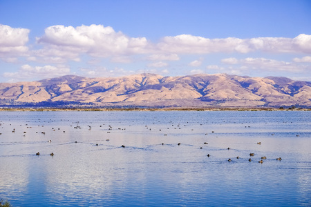 View towards Mission Peak and Monument Peak from Sunnyvale bay trail, Californiaの写真素材