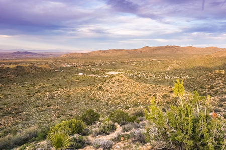 Colorful sunset in Joshua Tree National Park, Californiaの写真素材