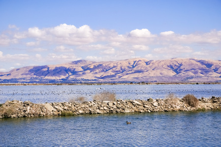 View towards Mission Peak and Monument Peak from Sunnyvale bay trail, Californiaの写真素材